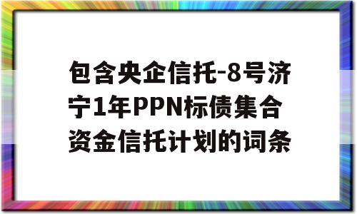 包含央企信托-8号济宁1年PPN标债集合资金信托计划的词条