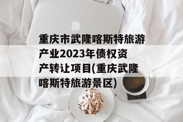 重庆市武隆喀斯特旅游产业2023年债权资产转让项目(重庆武隆喀斯特旅游景区)