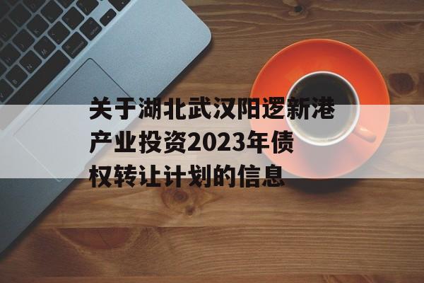 关于湖北武汉阳逻新港产业投资2023年债权转让计划的信息