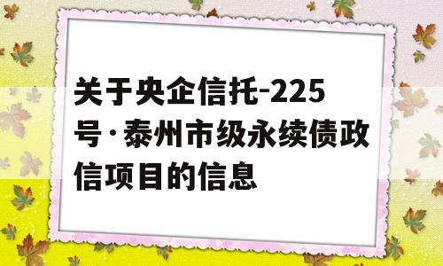 关于央企信托-225号·泰州市级永续债政信项目的信息