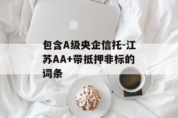 包含A级央企信托-江苏AA+带抵押非标的词条