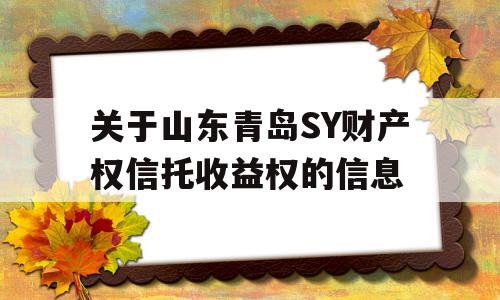 关于山东青岛SY财产权信托收益权的信息