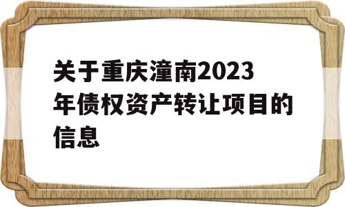 关于重庆潼南2023年债权资产转让项目的信息