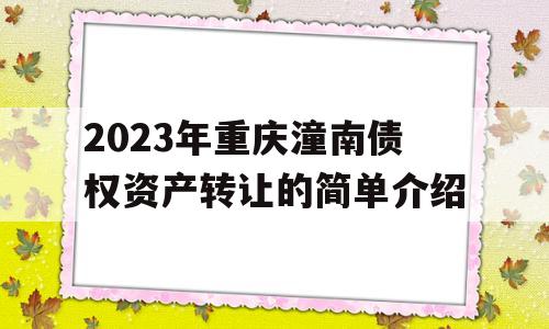 2023年重庆潼南债权资产转让的简单介绍