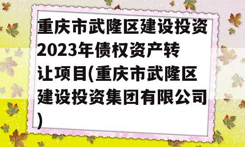 重庆市武隆区建设投资2023年债权资产转让项目(重庆市武隆区建设投资集团有限公司)