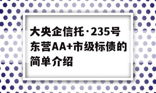 大央企信托·235号东营AA+市级标债的简单介绍