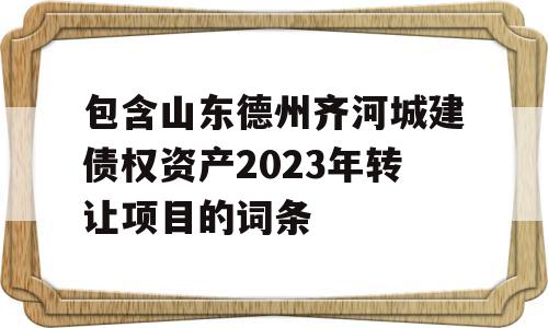 包含山东德州齐河城建债权资产2023年转让项目的词条