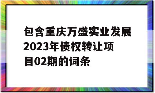 包含重庆万盛实业发展2023年债权转让项目02期的词条