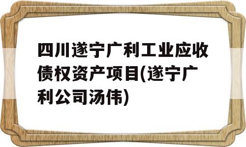 四川遂宁广利工业应收债权资产项目(遂宁广利公司汤伟)