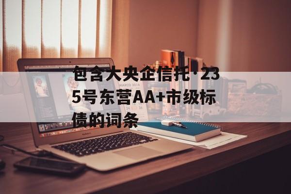 包含大央企信托·235号东营AA+市级标债的词条