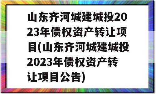 山东齐河城建城投2023年债权资产转让项目(山东齐河城建城投2023年债权资产转让项目公告)