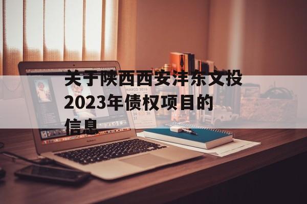 关于陕西西安沣东文投2023年债权项目的信息