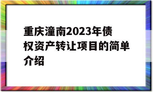 重庆潼南2023年债权资产转让项目的简单介绍