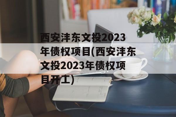 西安沣东文投2023年债权项目(西安沣东文投2023年债权项目开工)