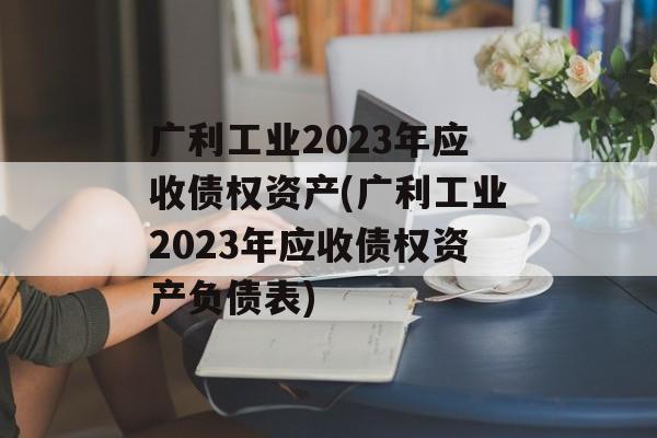 广利工业2023年应收债权资产(广利工业2023年应收债权资产负债表)