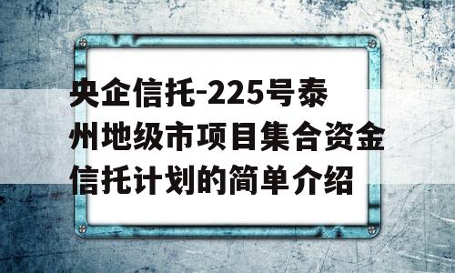 央企信托-225号泰州地级市项目集合资金信托计划的简单介绍