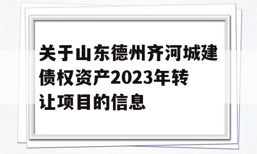 关于山东德州齐河城建债权资产2023年转让项目的信息