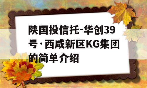 陕国投信托-华创39号·西咸新区KG集团的简单介绍