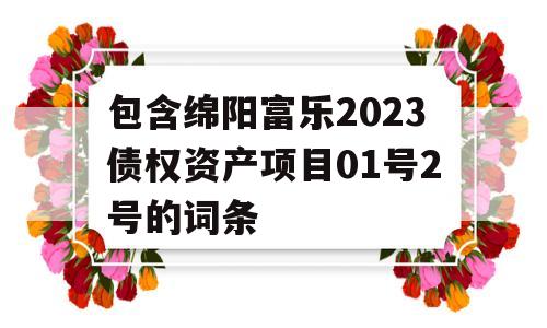 包含绵阳富乐2023债权资产项目01号2号的词条