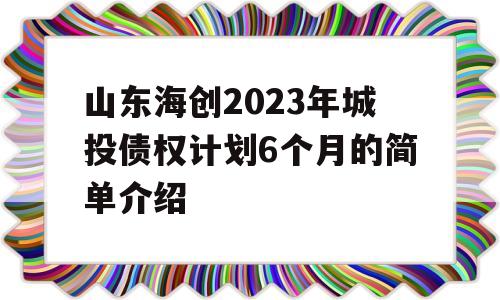 山东海创2023年城投债权计划6个月的简单介绍