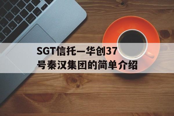 SGT信托—华创37号秦汉集团的简单介绍