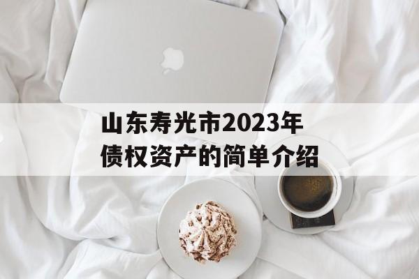 山东寿光市2023年债权资产的简单介绍