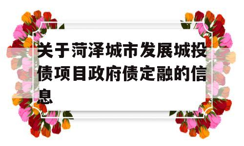 关于菏泽城市发展城投债项目政府债定融的信息