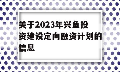 关于2023年兴鱼投资建设定向融资计划的信息