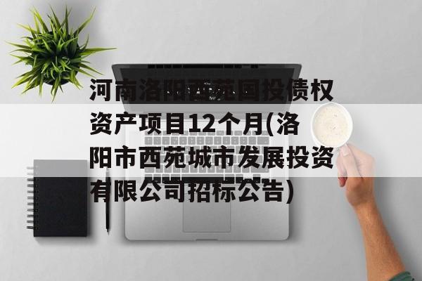 河南洛阳西苑国投债权资产项目12个月(洛阳市西苑城市发展投资有限公司招标公告)