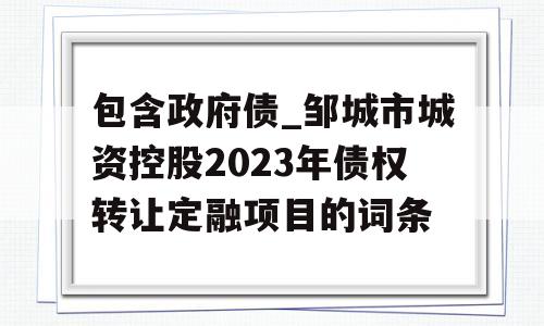 包含政府债_邹城市城资控股2023年债权转让定融项目的词条