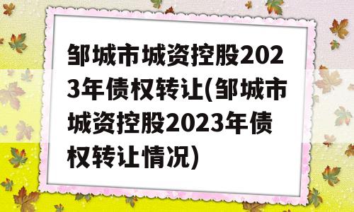 邹城市城资控股2023年债权转让(邹城市城资控股2023年债权转让情况)