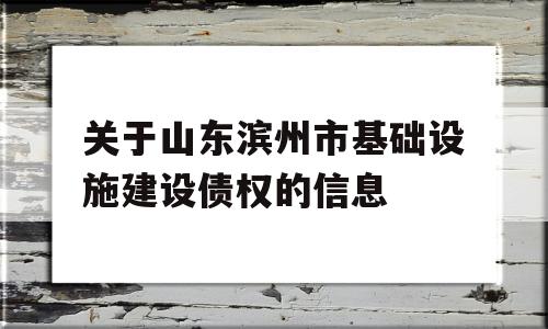 关于山东滨州市基础设施建设债权的信息