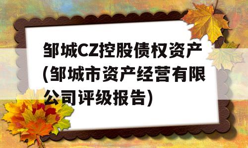 邹城CZ控股债权资产(邹城市资产经营有限公司评级报告)