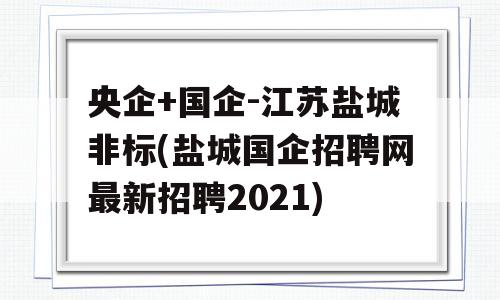 央企+国企-江苏盐城非标(盐城国企招聘网最新招聘2021)