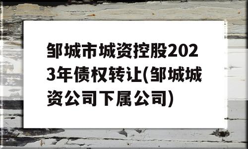 邹城市城资控股2023年债权转让(邹城城资公司下属公司)