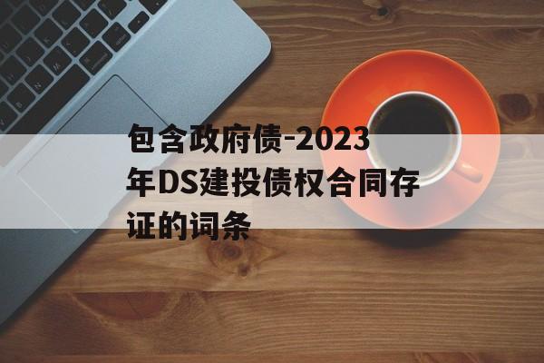 包含政府债-2023年DS建投债权合同存证的词条