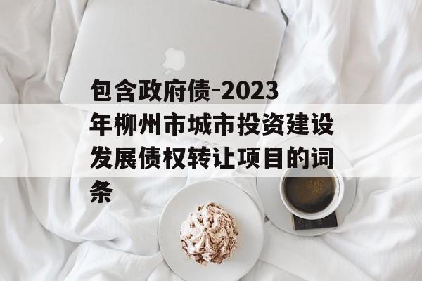 包含政府债-2023年柳州市城市投资建设发展债权转让项目的词条