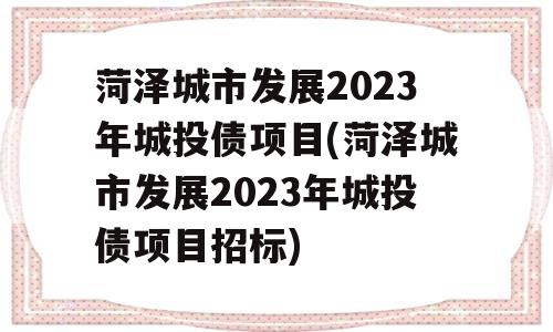 菏泽城市发展2023年城投债项目(菏泽城市发展2023年城投债项目招标)