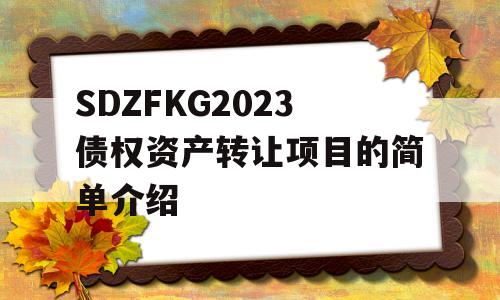 SDZFKG2023债权资产转让项目的简单介绍