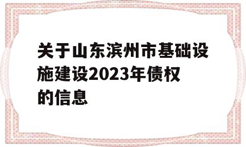 关于山东滨州市基础设施建设2023年债权的信息