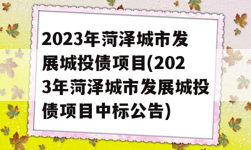 2023年菏泽城市发展城投债项目(2023年菏泽城市发展城投债项目中标公告)