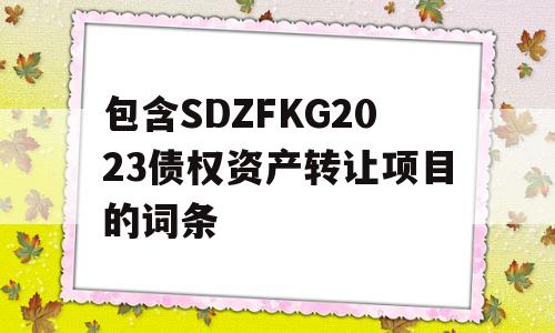 包含SDZFKG2023债权资产转让项目的词条