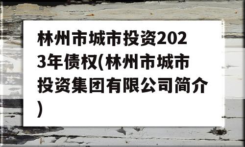 林州市城市投资2023年债权(林州市城市投资集团有限公司简介)