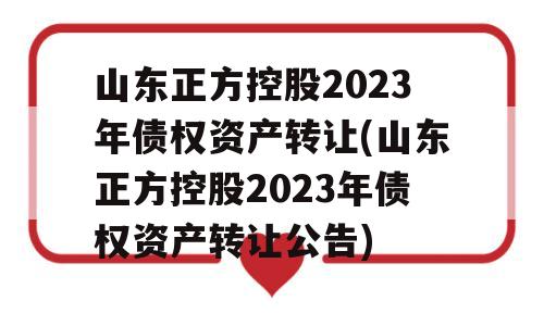 山东正方控股2023年债权资产转让(山东正方控股2023年债权资产转让公告)