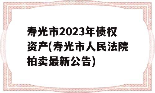 寿光市2023年债权资产(寿光市人民法院拍卖最新公告)