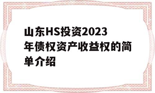 山东HS投资2023年债权资产收益权的简单介绍