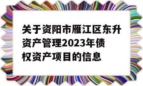 关于资阳市雁江区东升资产管理2023年债权资产项目的信息