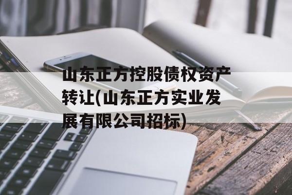 山东正方控股债权资产转让(山东正方实业发展有限公司招标)