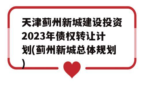 天津蓟州新城建设投资2023年债权转让计划(蓟州新城总体规划)