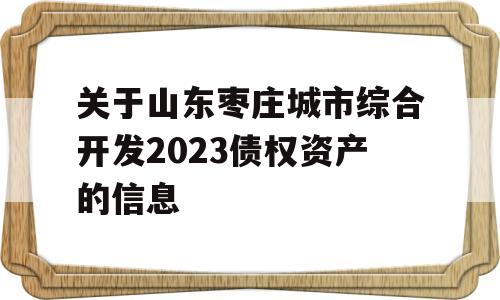 关于山东枣庄城市综合开发2023债权资产的信息